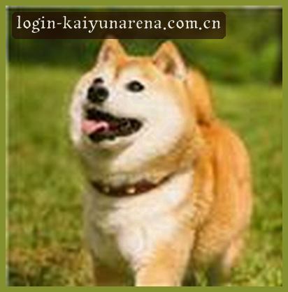 林静